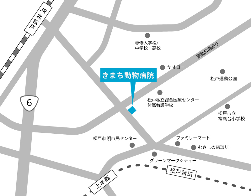 アクセスマップ