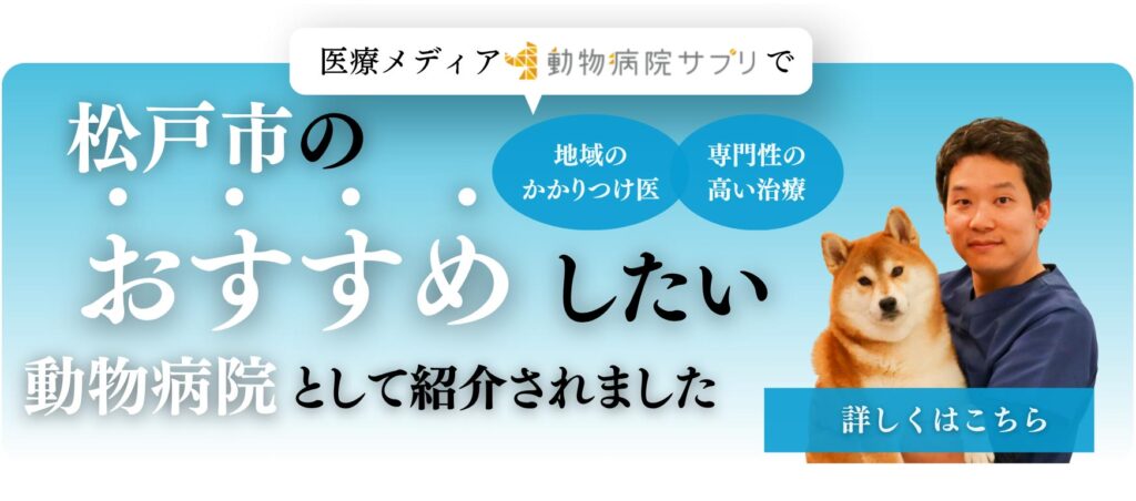 松戸市×動物病院