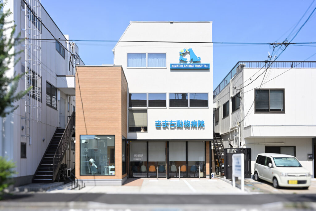 きまち動物病院